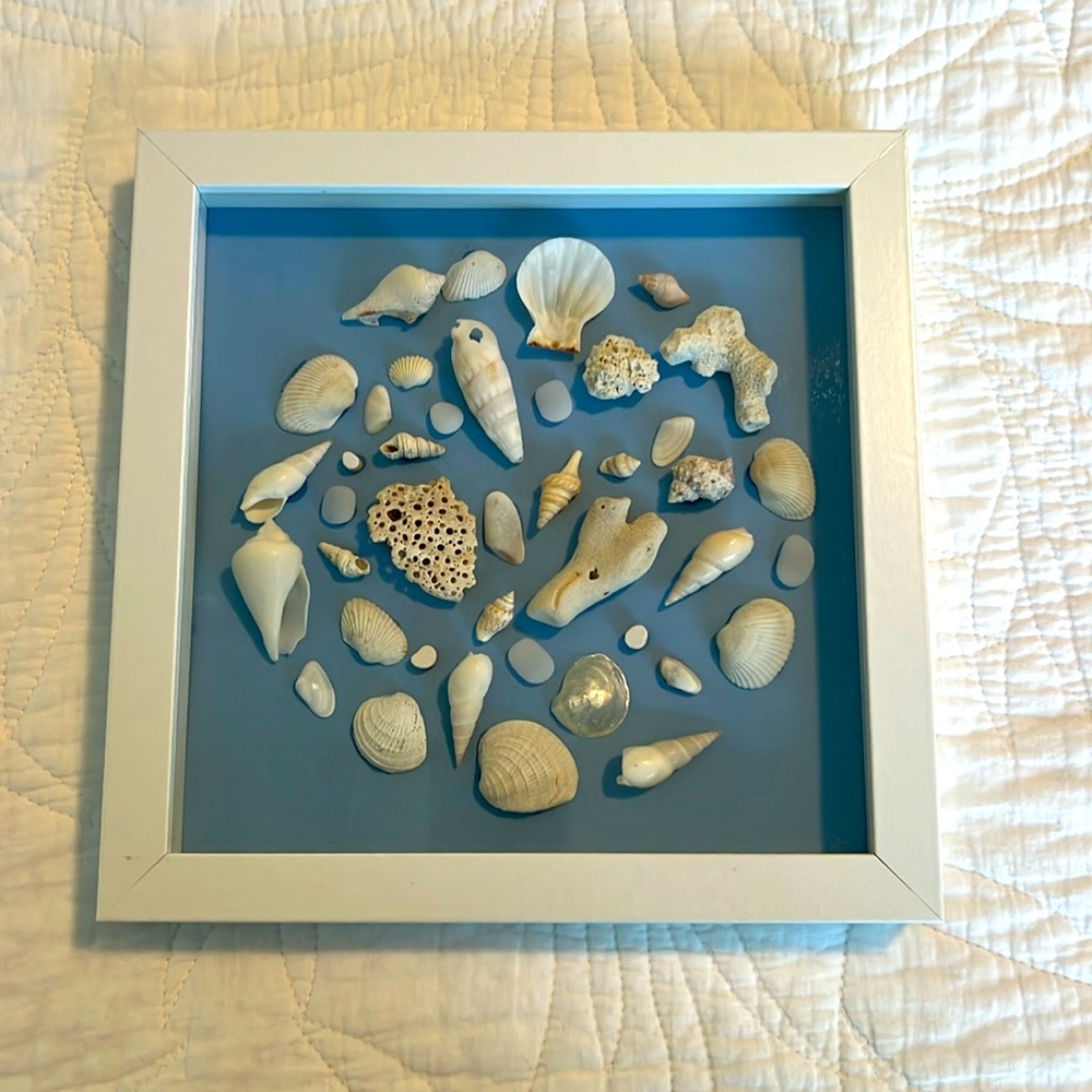 SEA SHELL ART